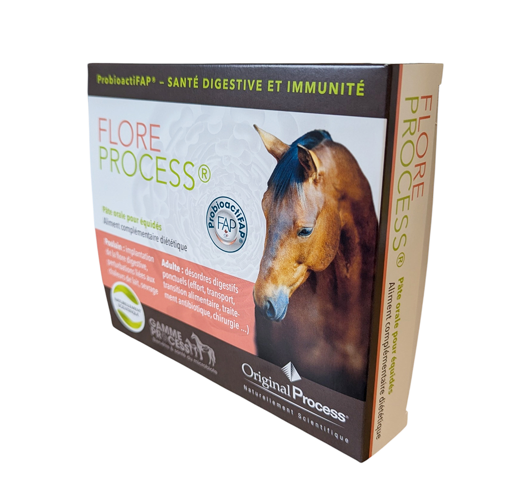 Flore Process MSD pâte orale cheval probioactifap boite 5 seringues.