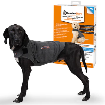Gilet Thundershirt taille L porté par un chien, solution apaisante anti-stress sans médicament