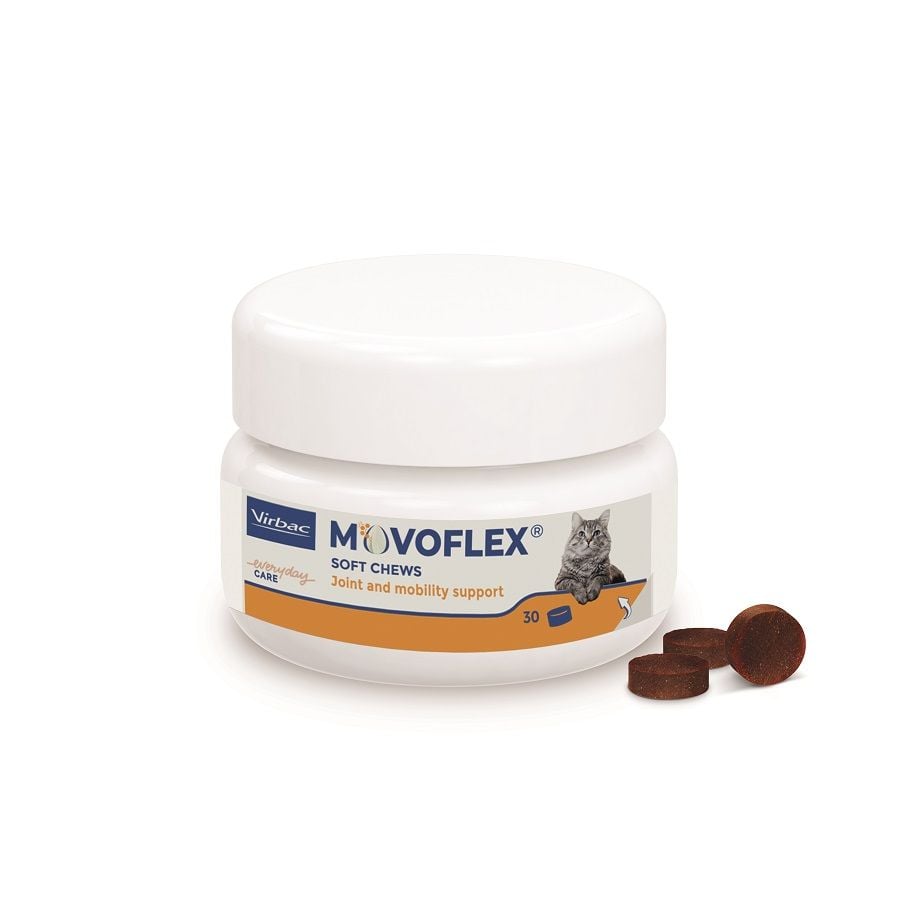Pot blanc de MOVOFLEX Chat Virbac contenant 30 bouchées moelleuses pour le soutien de la mobilité et du confort articulaire des chats.