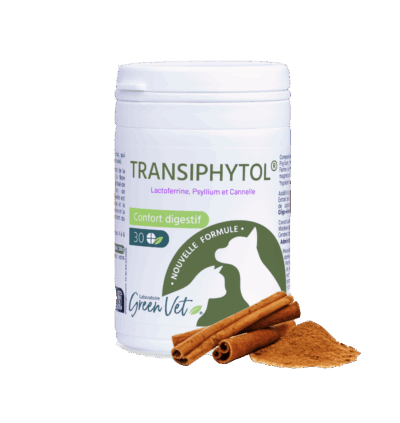 Boîte de 30 comprimés TRANSIPHYTOL® par Green Vet, complément alimentaire naturel pour le confort digestif des chiens et chats, à base de lactoferrine et cannelle.