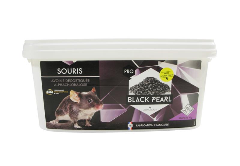 Seau souricide Black Pearl Grain 1kg avoine décortiquée alphachloralose Lodi Group.