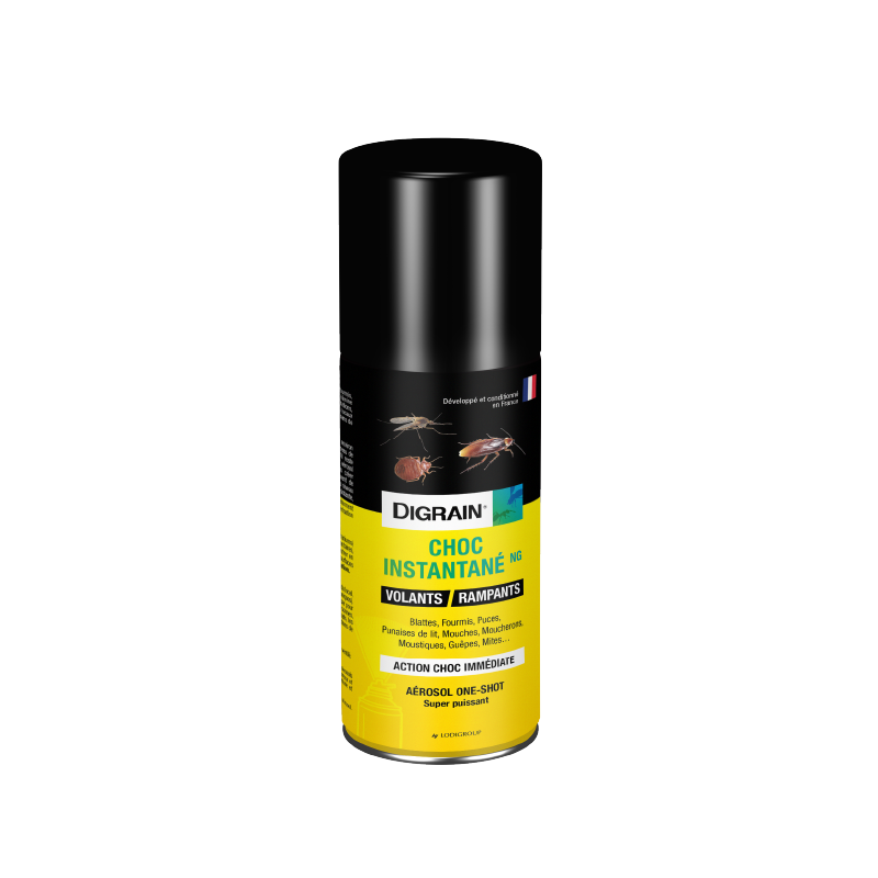 Aérosol professionnel Digrain Choc Instantané 100ml auto-vidant pour traitement de volume.