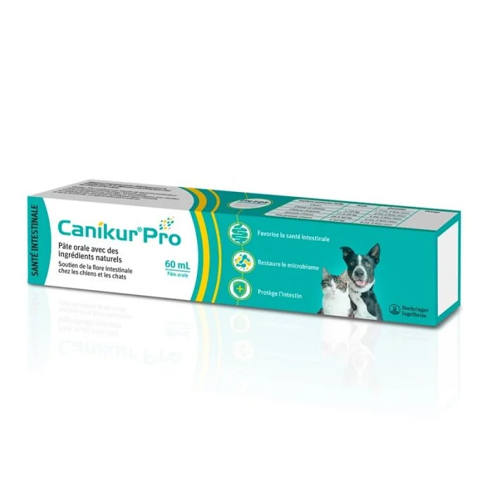 Seringue Canikur Pro 60ml grand chien pâte probiotique diarrhée.