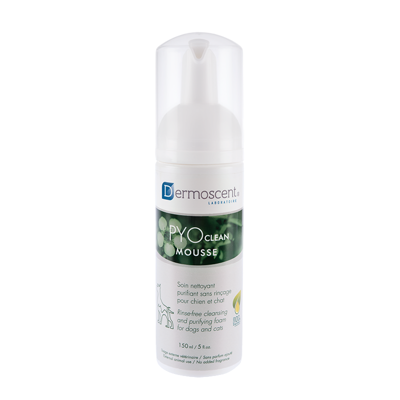 Flacon Dermoscent PYOclean Mousse 150ml shampooing sec purifiant chien chat sans rinçage.