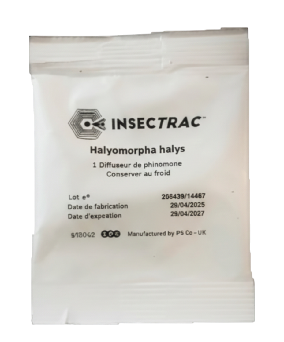 Sachet blanc de phéromone Insectrac pour punaise diabolique Halyomorpha halys, avec instructions de conservation au froid et dates de fabrication/expiration.