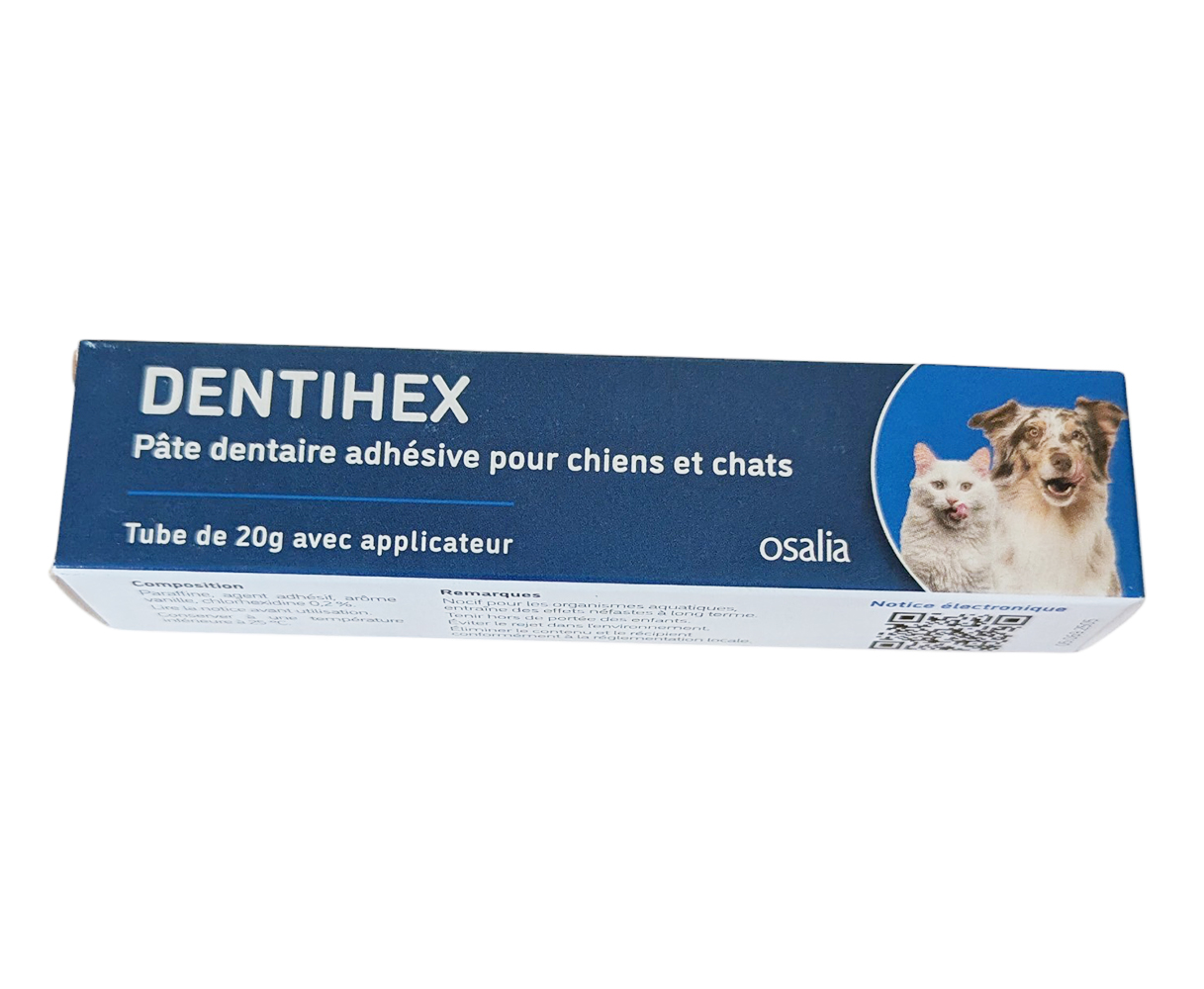 Tube Dentihex 20g pâte dentaire adhésive chlorhexidine chien chat Osalia
