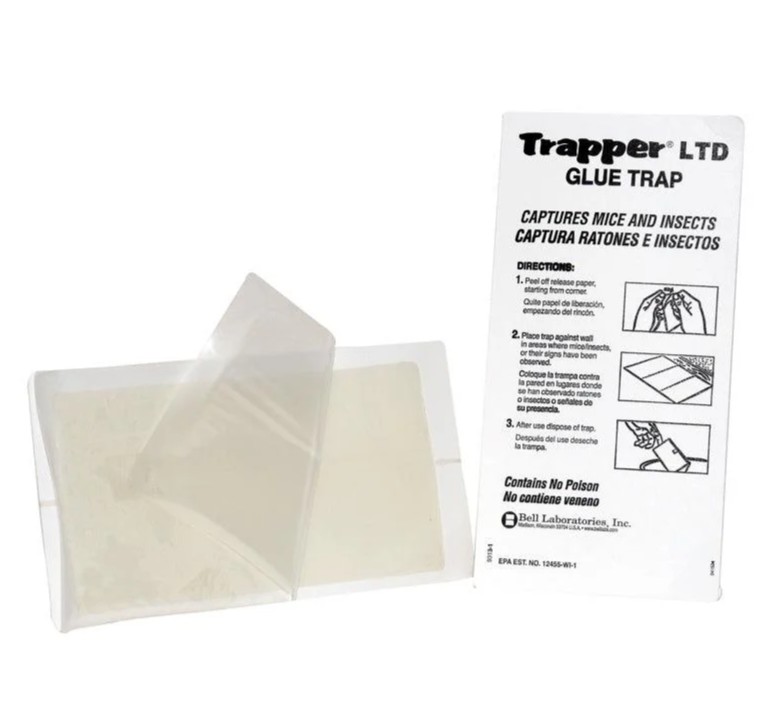 Plaque de détection engluée TRAPPER LTD en carton blanc certifié SFI, piège jetable sans poison pour la capture des souris, blattes et insectes rampants.