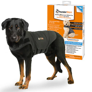 Grand chien noir portant un gilet ThunderShirt taille XL avec la boîte du produit en arrière-plan