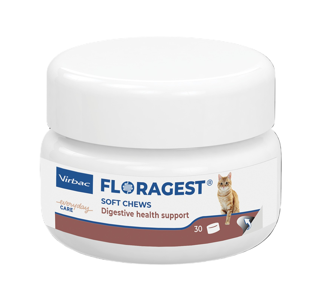 FLORAGEST Chat Virbac pot de 30 bouchées prébiotiques et postbiotiques pour le confort digestif du chat