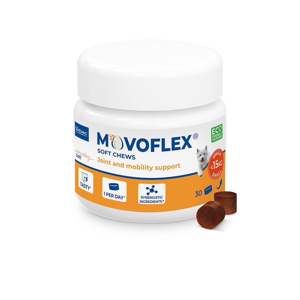 Pot blanc de MOVOFLEX S Virbac avec un visuel de Westie, contenant 30 bouchées moelleuses pour le soutien articulaire des petits chiens de moins de 15 kg.