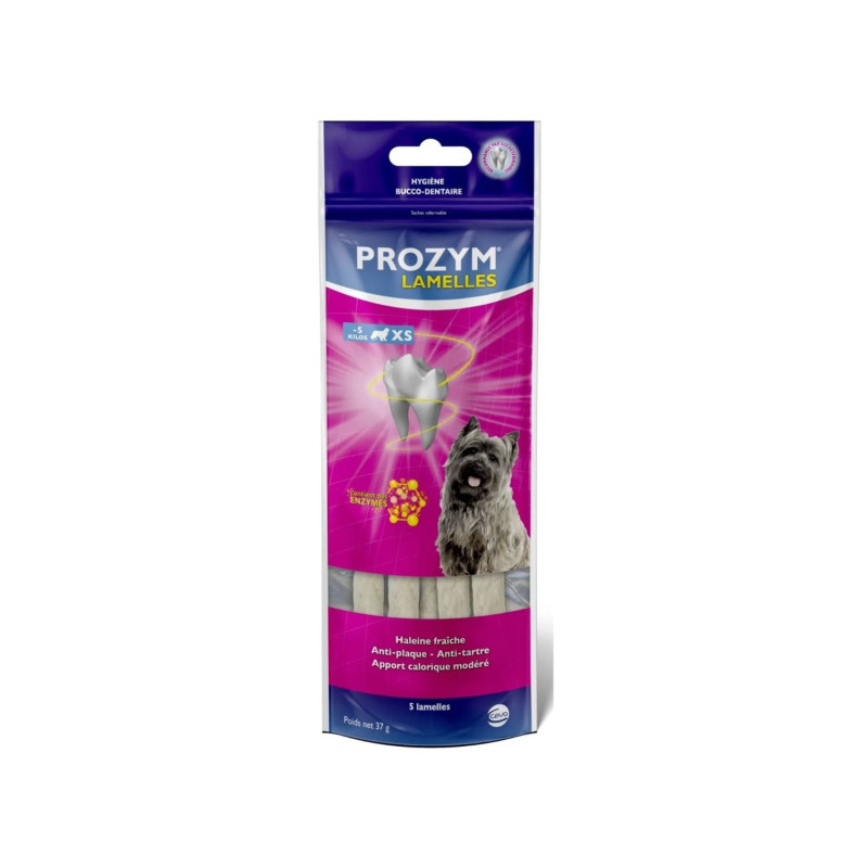 Petit sachet violet et fuchsia de 5 lamelles de soin dentaire Prozym XS pour chien de moins de 5 kg avec photo de chien Cairn Terrier.