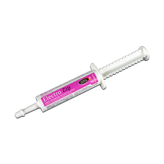Seringue blanche et rose de 30 ml d'électrolytes pâteux Electro-Zip Horse Master pour cheval.