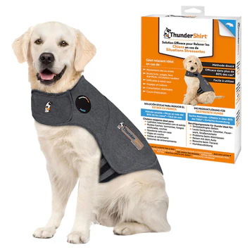 Chien portant un gilet ThunderShirt taille M avec emballage visible en arrière-plan