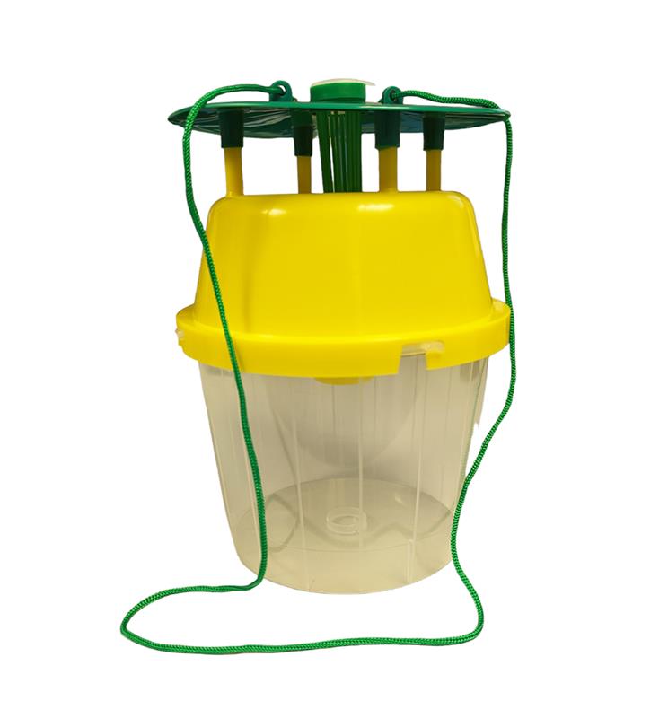 Piège à entonnoir (Funnel Trap) professionnel en plastique jaune et vert avec base transparente, conçu pour la capture des mites alimentaires en environnements poussiéreux.