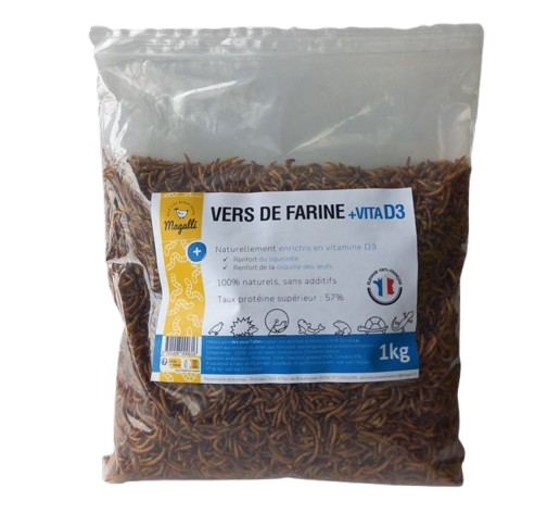 Sachet de vers de farine MAG D3 1 kg, aliment naturel riche en protéines et vitamine D3 pour oiseaux, reptiles et hérissons.