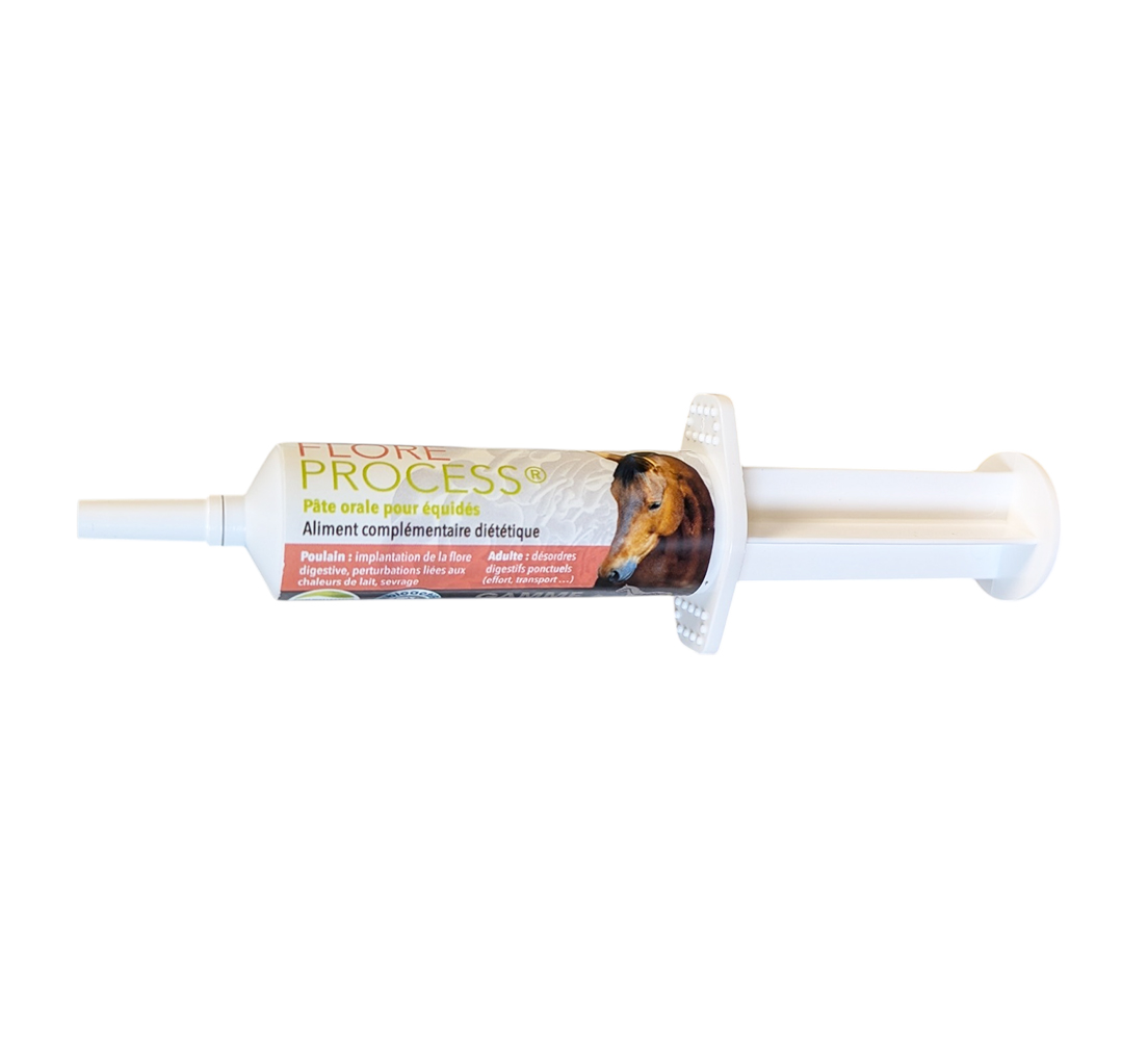 Flore Process MSD pâte orale cheval probioactifap boite 5 seringues.