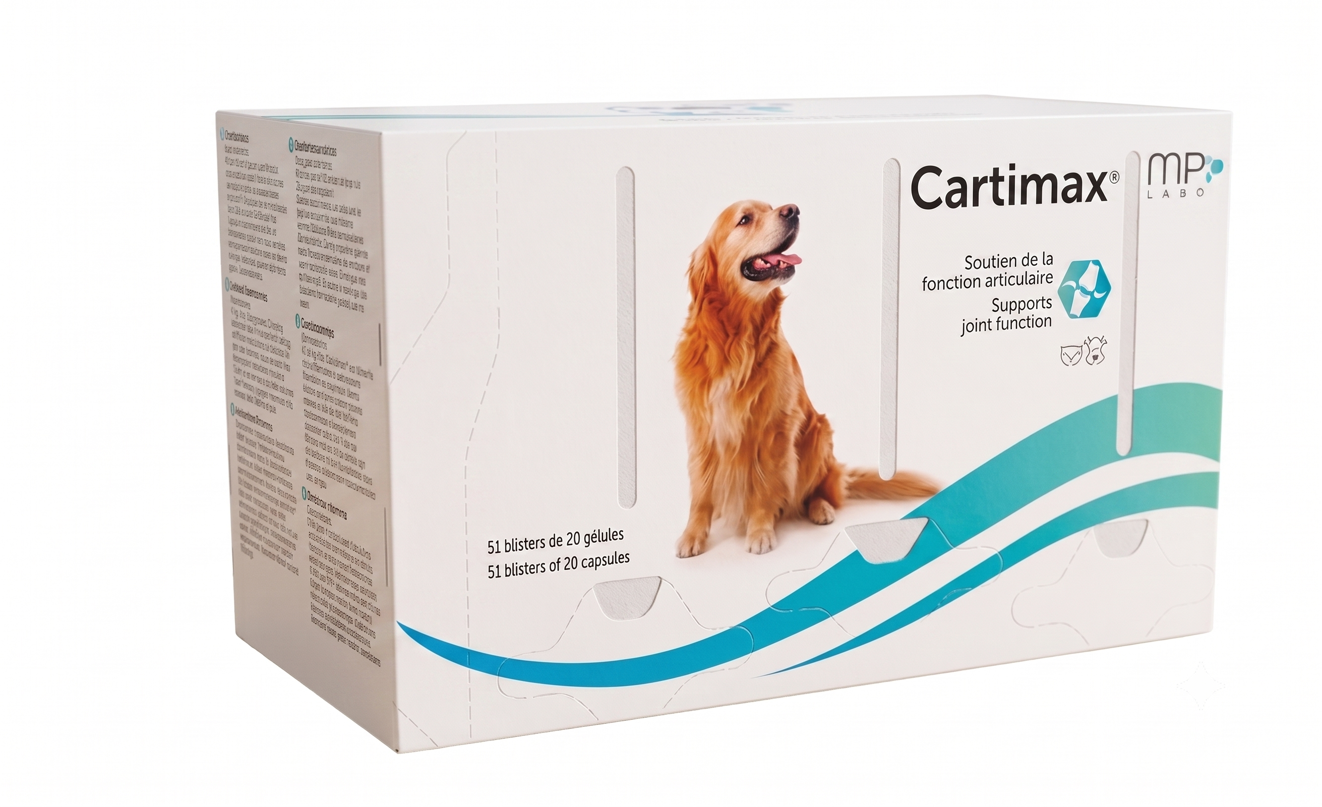 Grande boîte blanche de format clinique Cartimax Vrac MP Labo contenant 1020 gélules avec la photo d'un chien Golden Retriever.