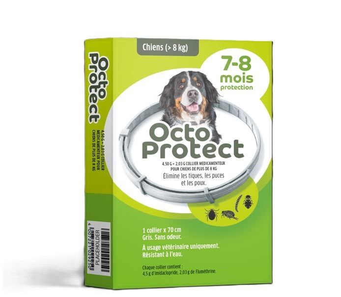 Boîte en carton de collier antiparasitaire pour chien, Octo Protect. L'emballage est vert et jaune. Le devant de la boîte montre un colley de Berne qui porte le collier gris. Le produit est conçu pour les chiens de plus de 8 kg et offre une protection de 7 à 8 mois contre les tiques, les puces et les poux. Le texte indique que le collier est de 70 cm, gris, sans odeur, résistant à l'eau et à usage vétérinaire uniquement.