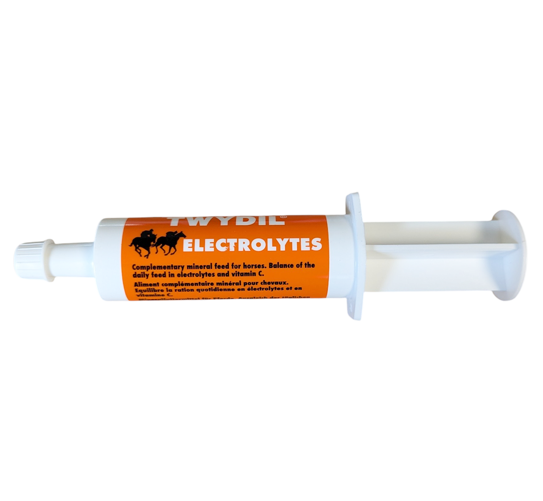 Seringue orale de 50g de pâte réhydratante Twydil Electrolytes enrichie en vitamine C pour cheval.