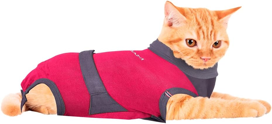 Chat roux couché portant un gilet de protection médical rouge Cat Shirt taille S.