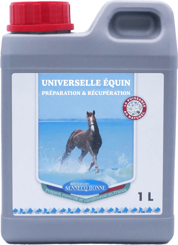 Flacon gris de 1 Litre de complément liquide Universelle Équin Préparation et Récupération Sennécq'bonne avec bouchon rouge et photo de cheval.
