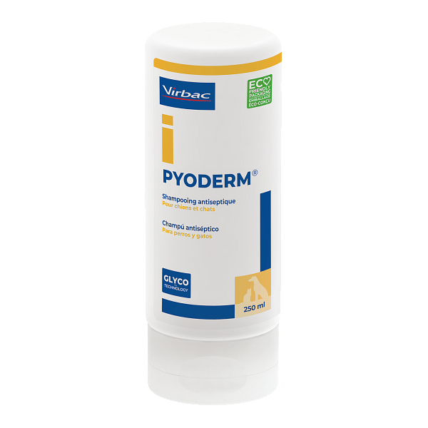 Flacon de 250 ml de shampooing antiseptique PYODERM® Virbac pour chiens et chats, indiqué pour le traitement des infections cutanées.