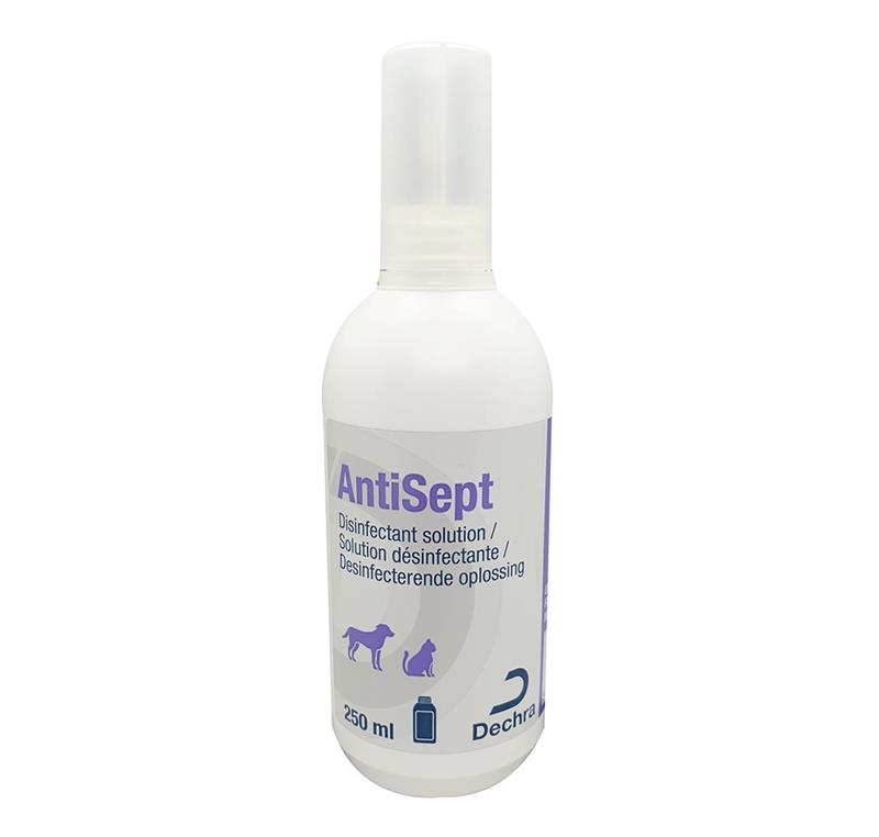 Spray désinfectant AntiSept 250 ml pour chiens et chats – soin cutané antibactérien et antifongique