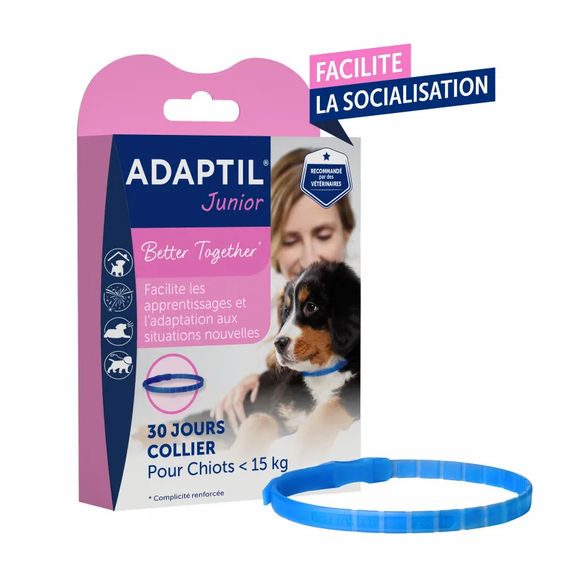 Boîte rose et bleue de collier ADAPTIL Junior pour chiots de moins de 15 kg, illustrée par un chiot Bouvier Bernois.