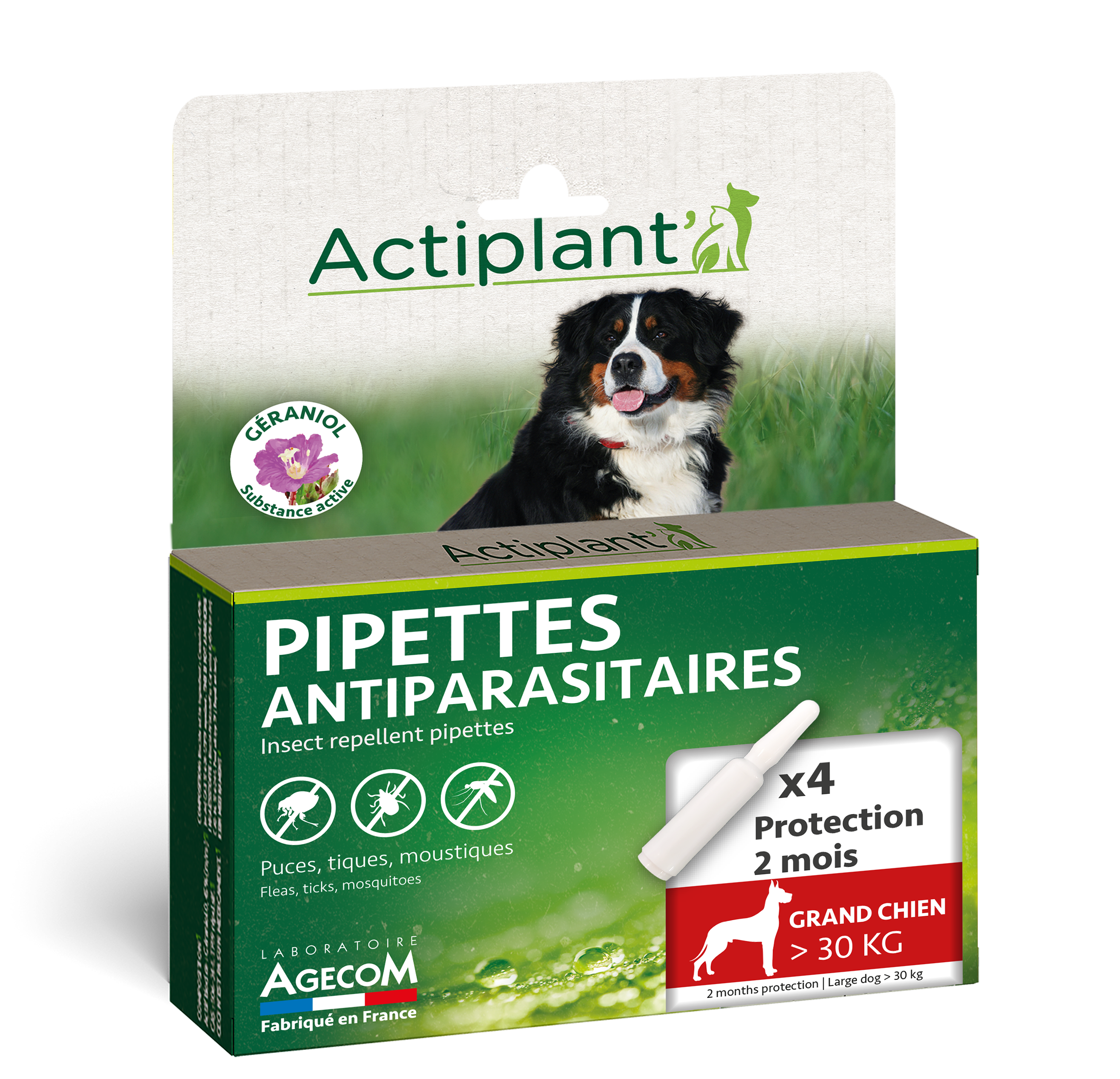 Boîte 4 pipettes antiparasitaires Actiplant grand chien plus de 30kg géraniol.