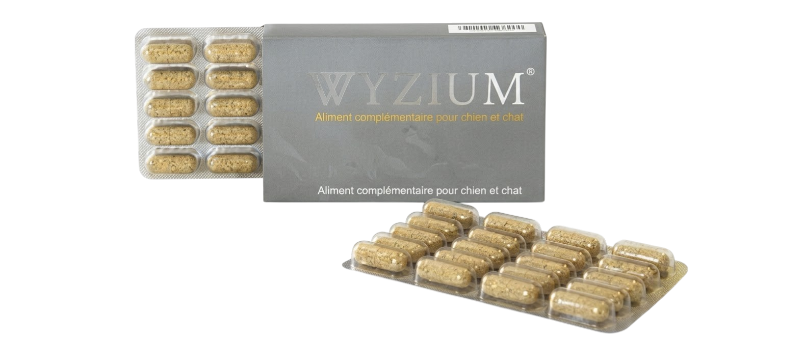 Boîte grise de WYZIUM avec blisters de comprimés antioxydants pour le maintien de la vision chez le chien et le chat.