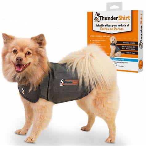 Petit chien portant un gilet ThunderShirt taille XS avec l’emballage visible en arrière-plan