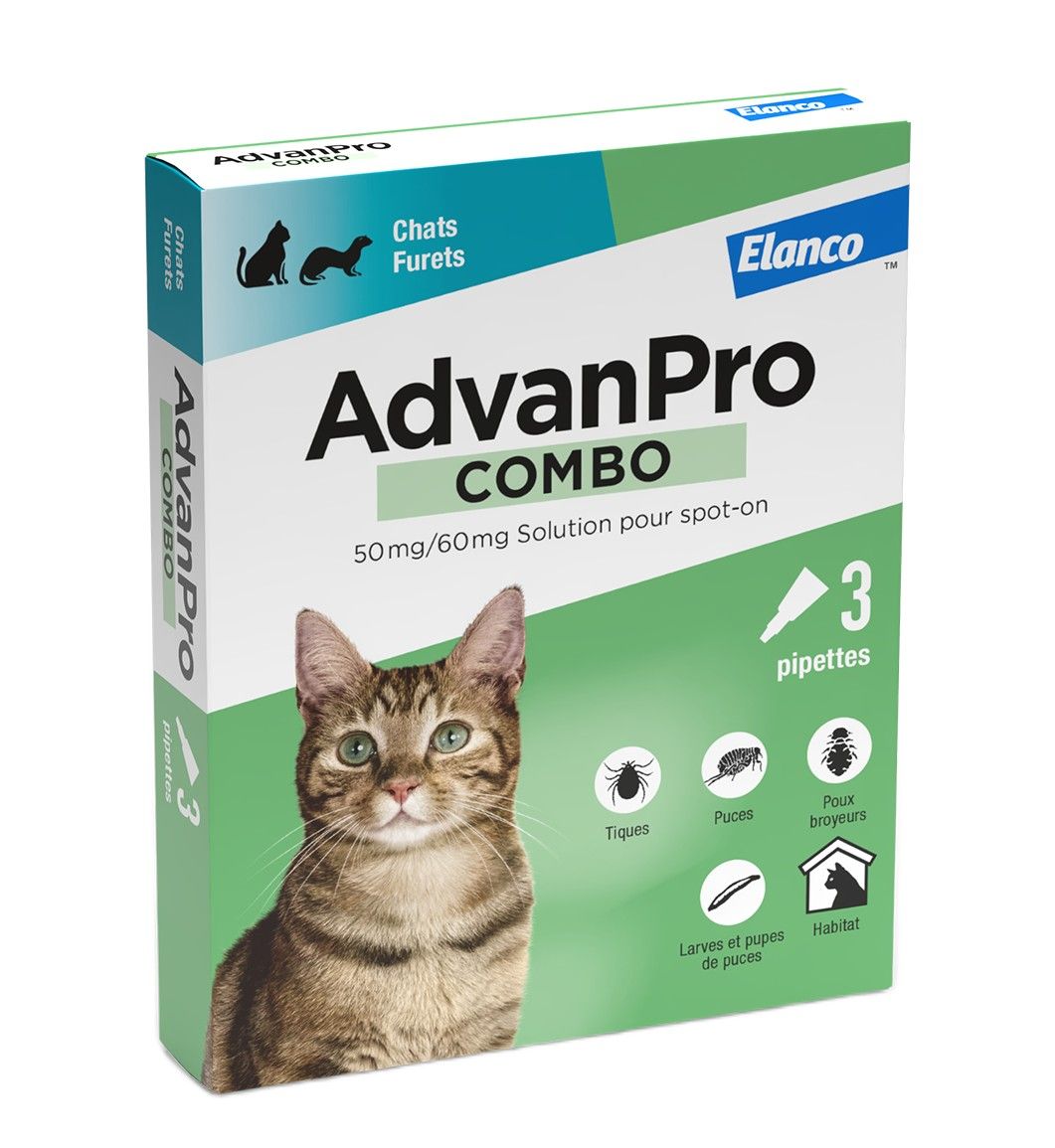Boîte d'AdvanPro Combo Elanco contenant 3 pipettes pour chats et furets contre les tiques, puces et poux.