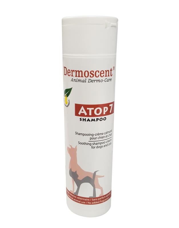 Flacon Dermoscent ATOP 7 Shampoo chien et chat 200ml apaisant peau atopique.