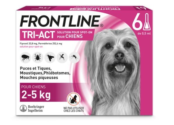 Boîte Frontline Tri-Act Chien XS 2-5kg 6 pipettes traitement économique moustiques.