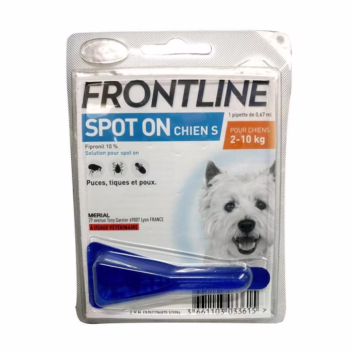 Blister d'une pipette bleue Frontline Spot On Chien S pour petit chien de 2 à 10 kg contre les puces et tiques.