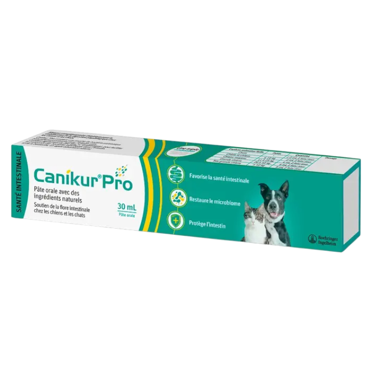 Boîte et seringue Canikur Pro 30ml pâte probiotique chien et chat Boehringer Ingelheim.