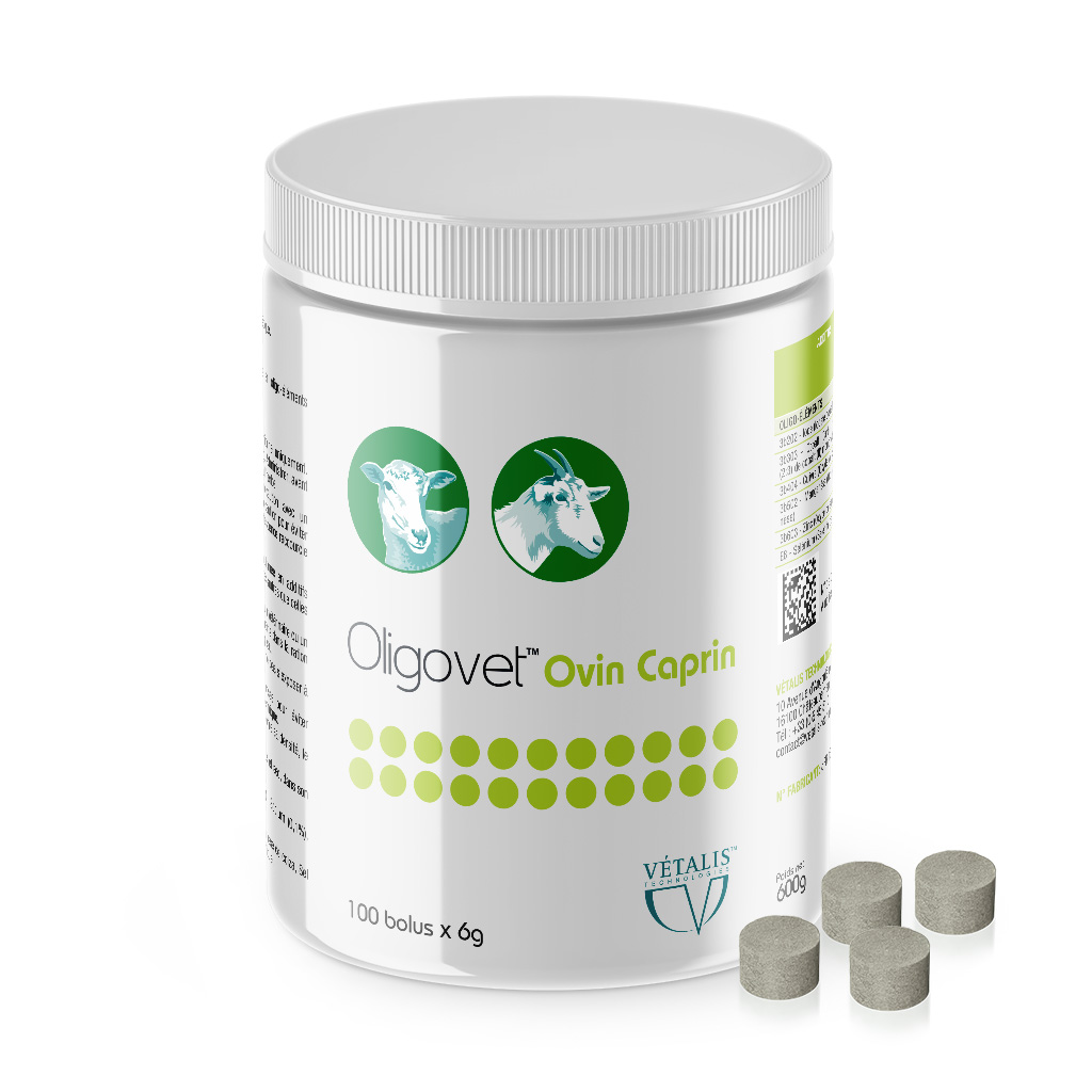 Pot de 100 bolus Oligovet Ovin Caprin Vétalis, complément minéral pour moutons et chèvres au pâturage.
