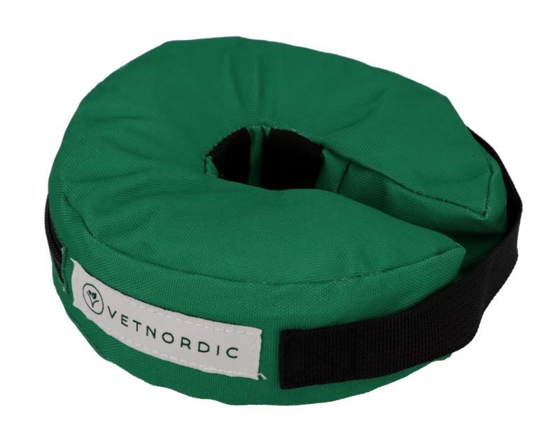Collier de protection gonflable vert taille XS pour chaton et chihuahua.