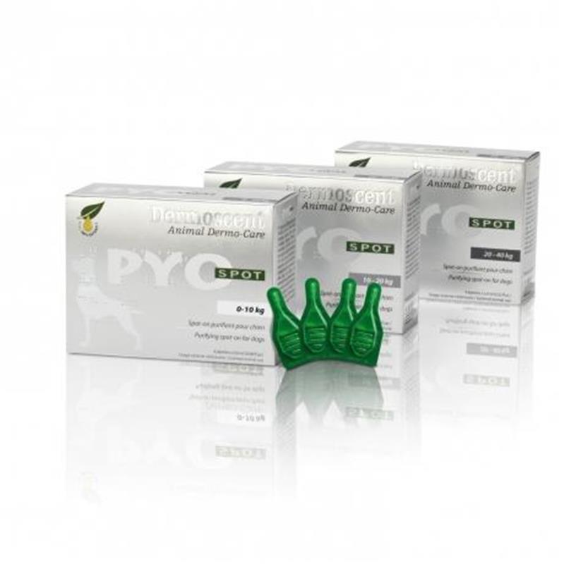 Boîte Dermoscent PYOspot chien 10-20kg 4 pipettes soin purifiant naturel.