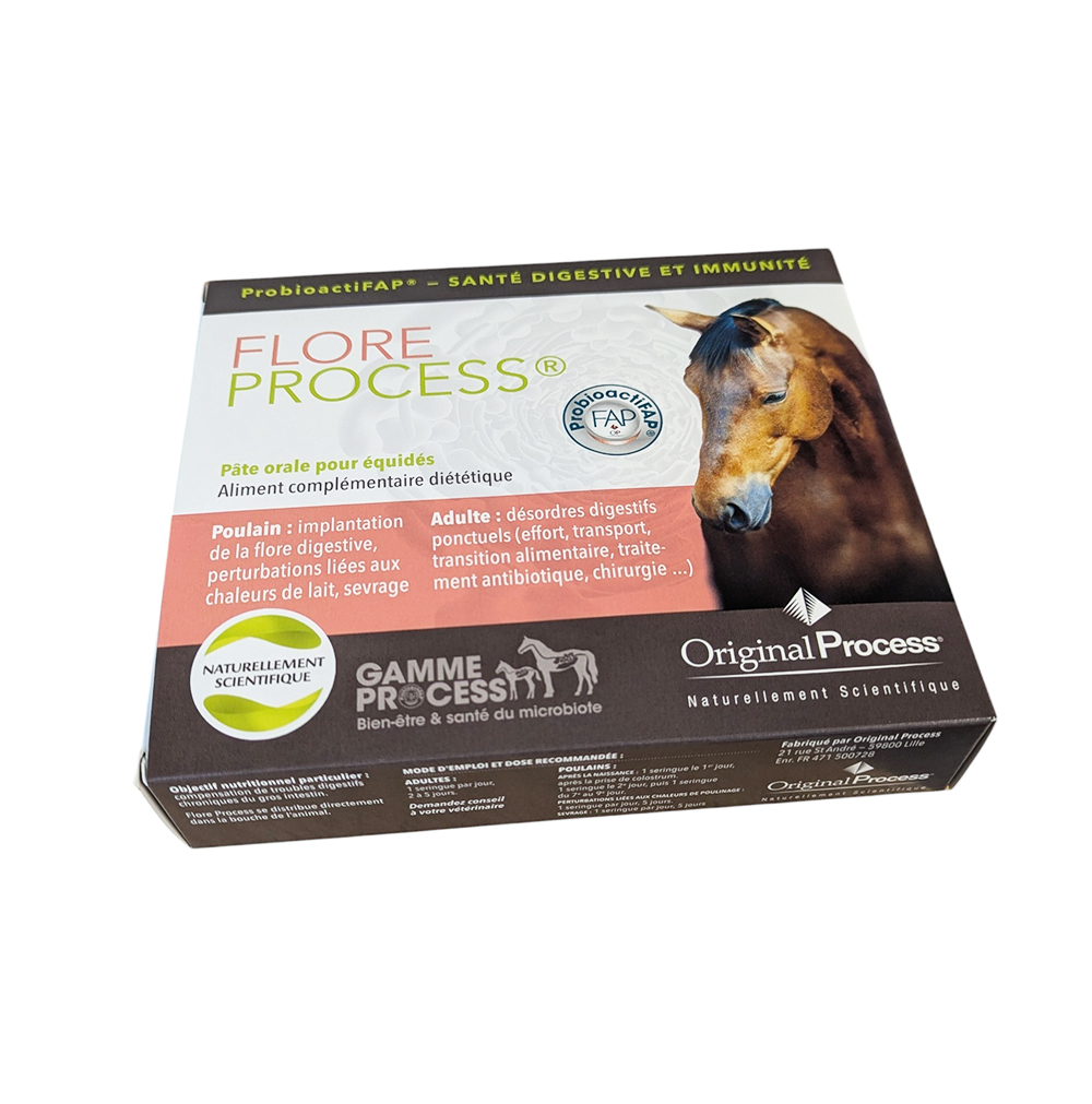 Flore Process MSD pâte orale cheval probioactifap boite 5 seringues.