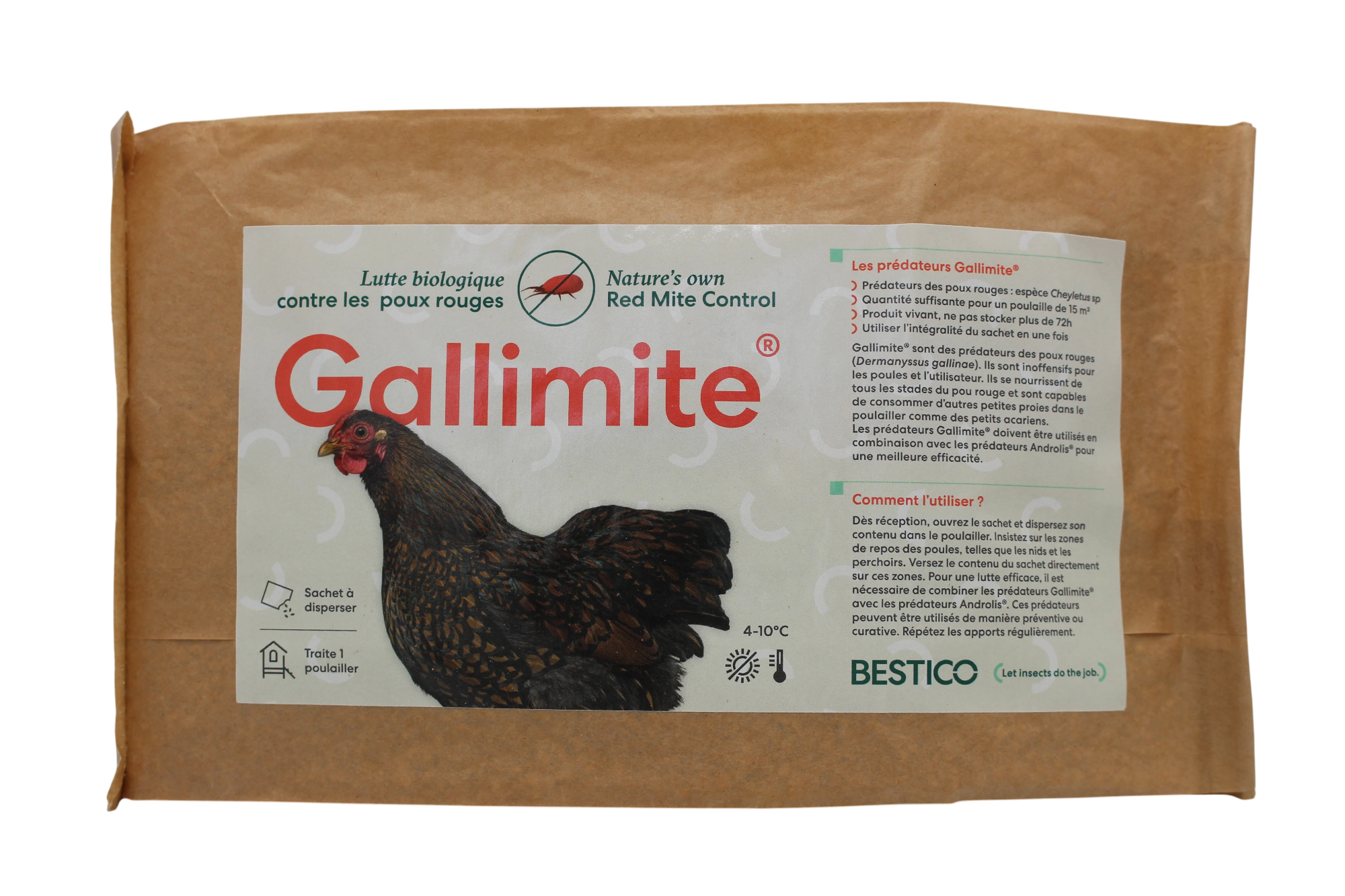 Sachet Gallimite Bestico lutte biologique poux rouges poulailler prédateurs naturels Androlaelaps casalis