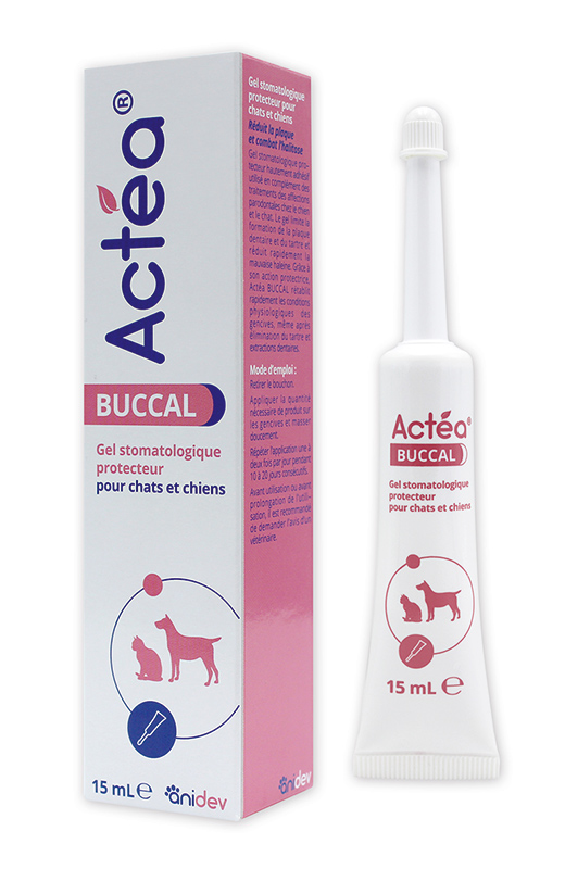 Tube Actéa Buccal Anidev 15ml gel stomatologique gingivite chat mauvaise haleine chien soin dentaire
